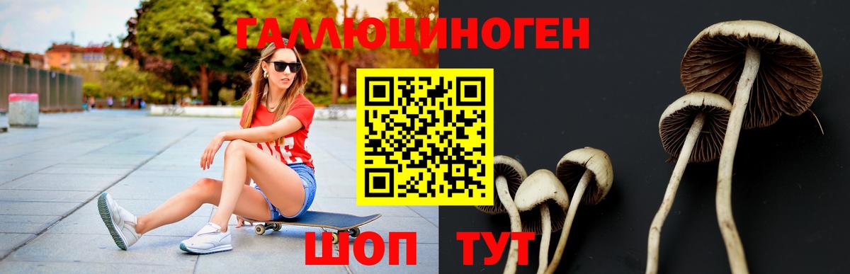 Псилоцибиновые грибы GOLDEN TEACHER  Вход с VPN  Темрюк 