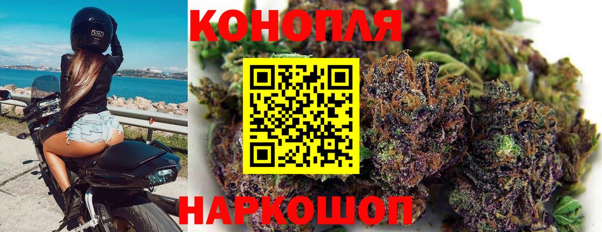 Шишки марихуана OG Kush Темрюк